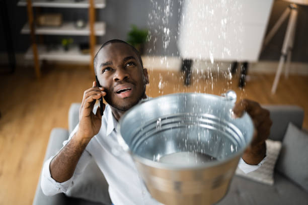 Best Residential water damage restoration  in Winnsboro, SC