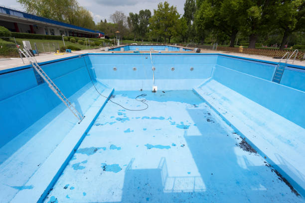 Best Mold removal after water damage  in Winnsboro, SC