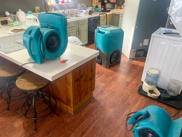 Best Water damage contractors near me  in Winnsboro, SC