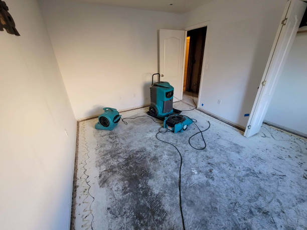 Best Water damage restoration near me  in Winnsboro, SC