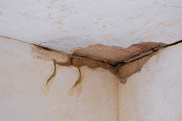 Best Fire Damage Restoration  in Winnsboro, SC