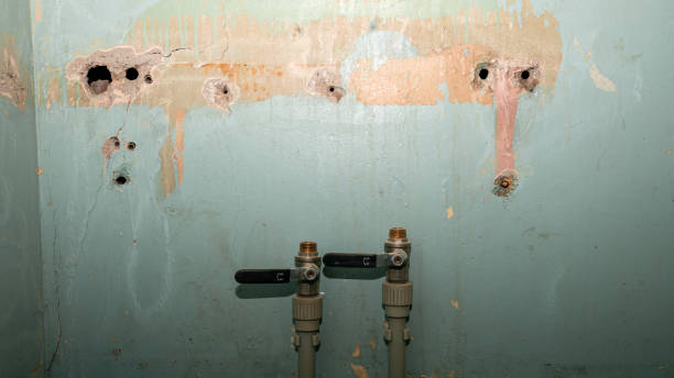 Best Water damage contractors near me  in Winnsboro, SC