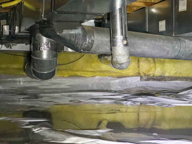 Best Flood damage cleanup  in Winnsboro, SC