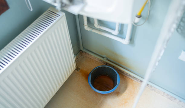 Best Emergency water extraction  in Winnsboro, SC